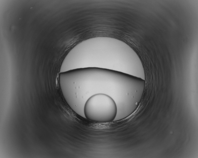 X0000086950094200704161106