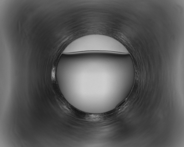 X0000086950095200704161106