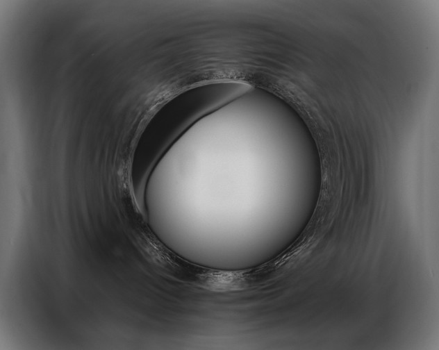 X0000086950096200704161106