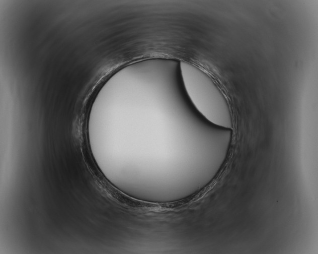 X0000086950098200704161106