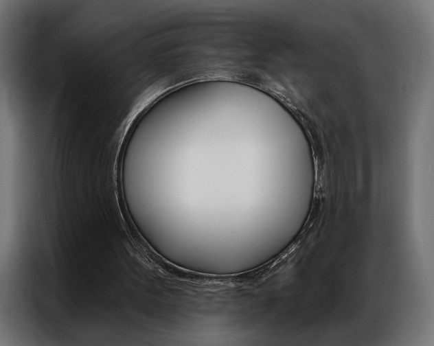 X0000086950099200704161106