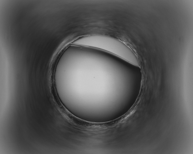 X0000086950101200704161106
