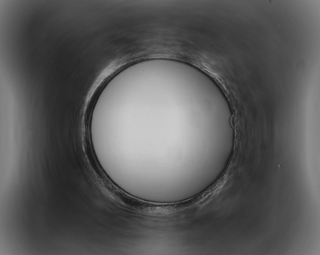 X0000086950102200704161106
