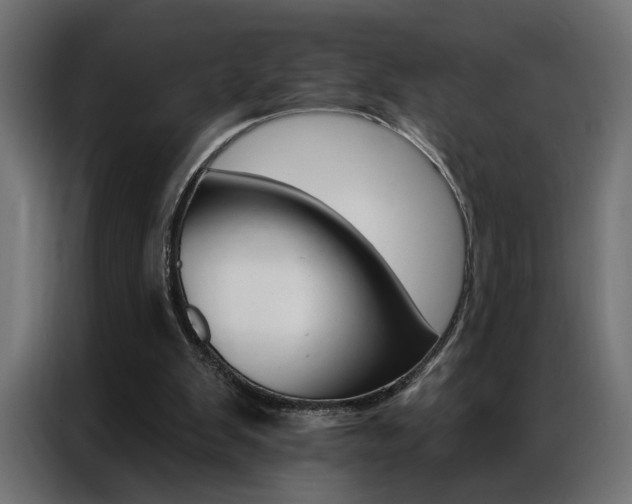 X0000086950103200704161106