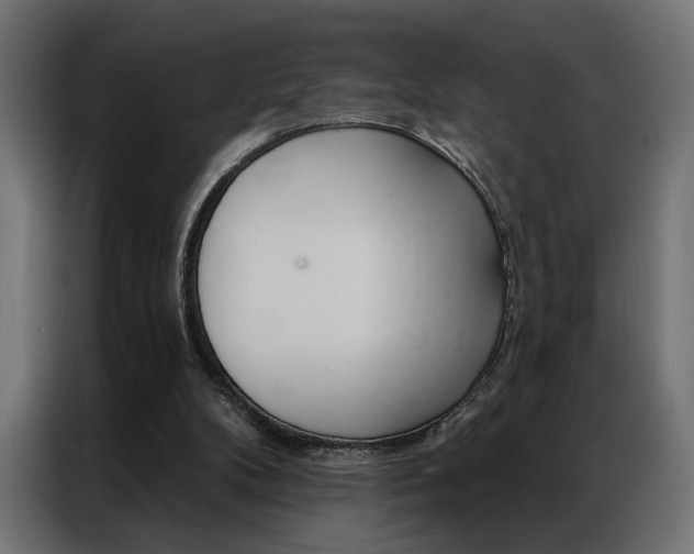 X0000086950104200704161106