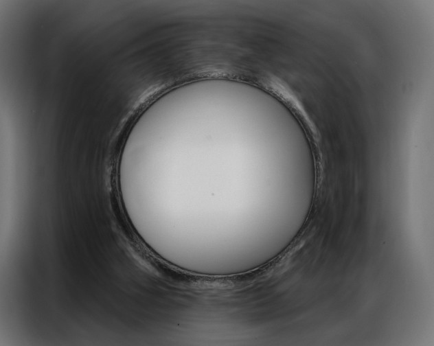 X0000086950106200704161106