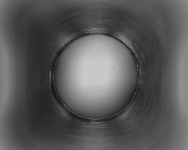 X0000086950109200704161106