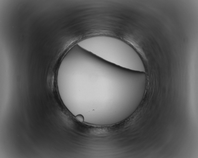 X0000086950110200704161106
