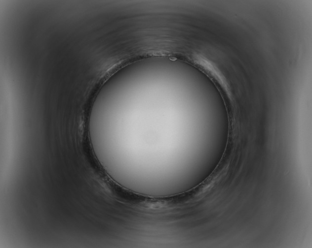 X0000086950113200704161106
