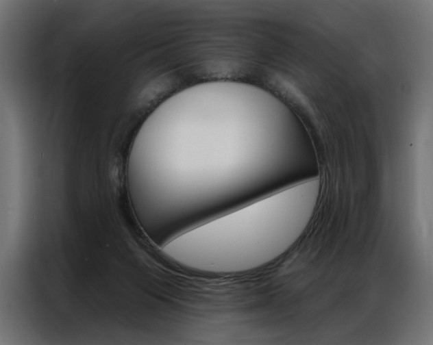 X0000086950119200704161105