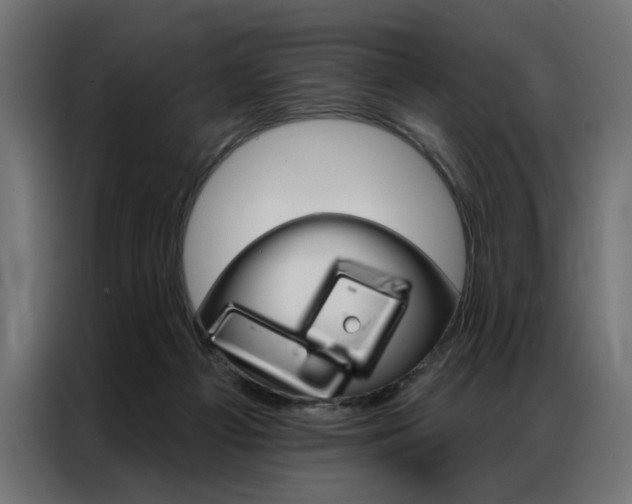 X0000086950121200704161105