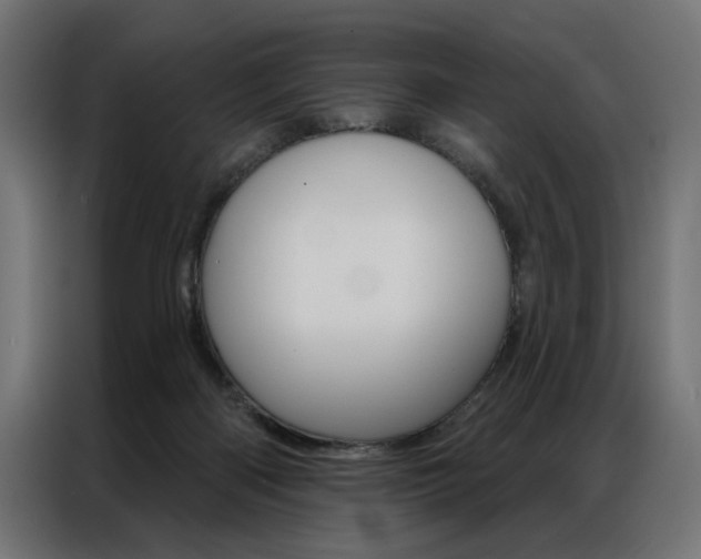 X0000086950122200704161105