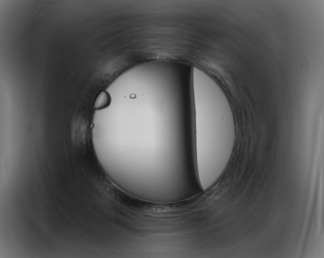 X0000086950123200704161105