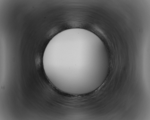 X0000086950124200704161105