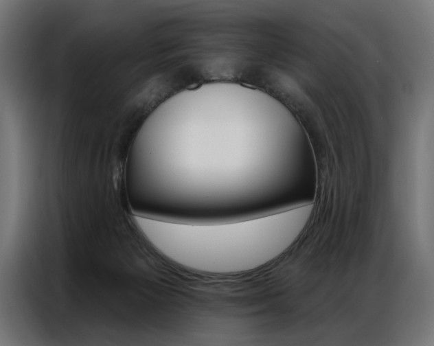 X0000086950125200704161105