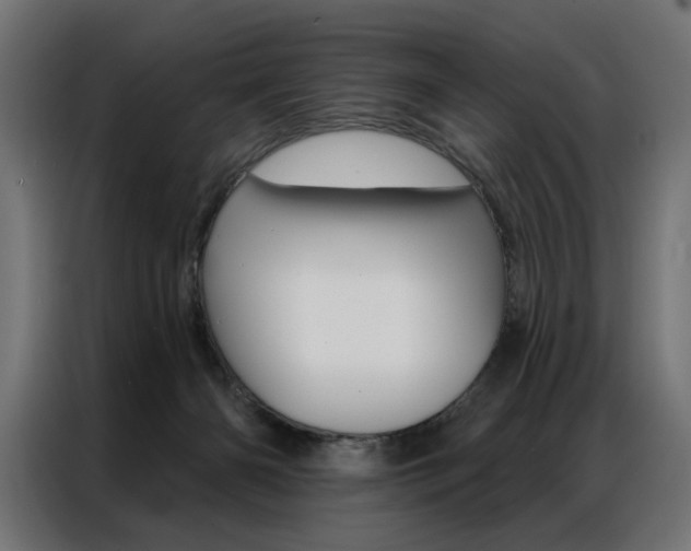 X0000086950126200704161105