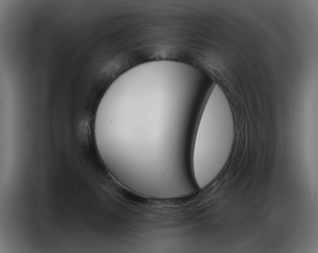 X0000086950127200704161105