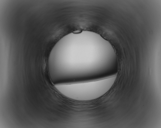 X0000086950129200704161105