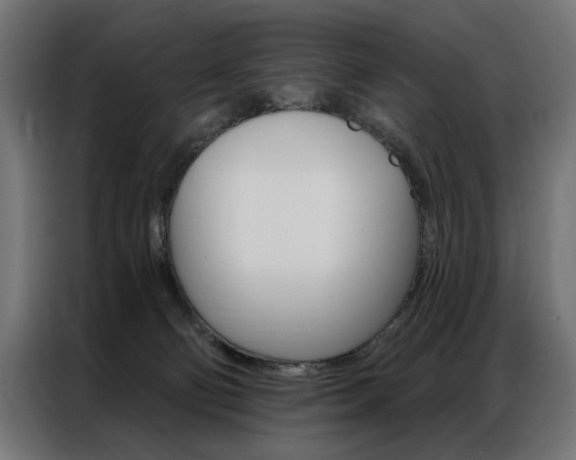 X0000086950130200704161105