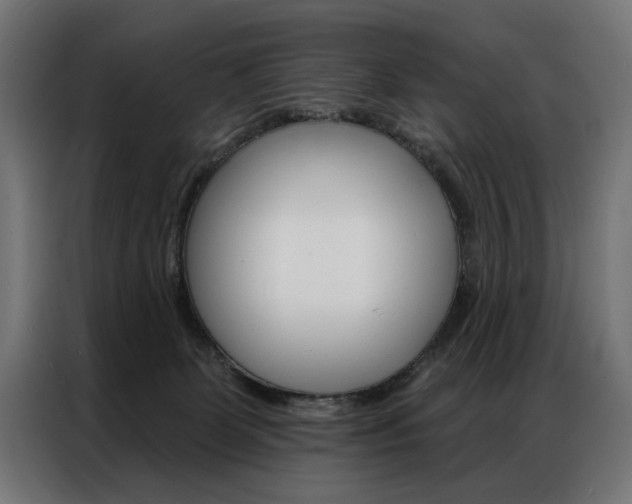 X0000086950131200704161105