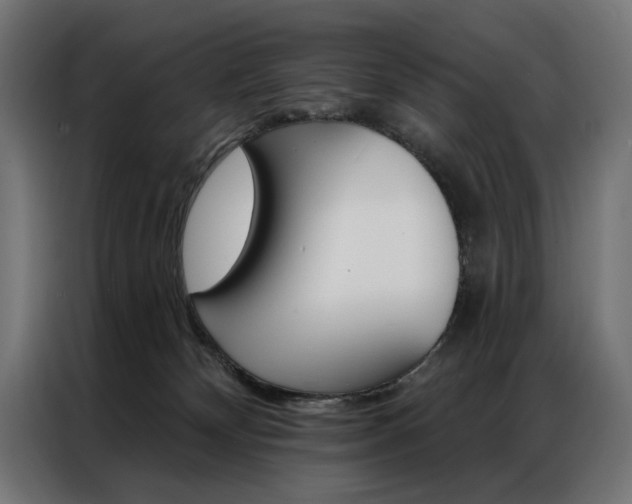 X0000086950132200704161105