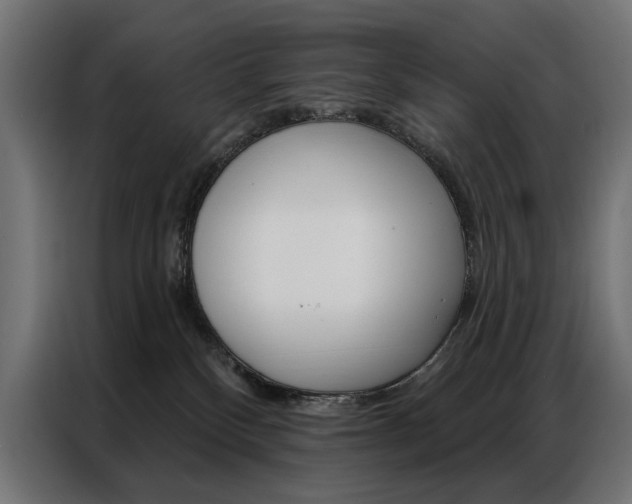 X0000086950136200704161105