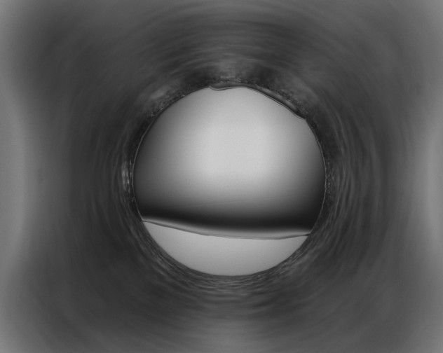 X0000086950137200704161105
