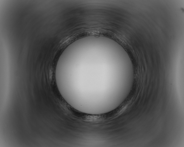 X0000086950139200704161105