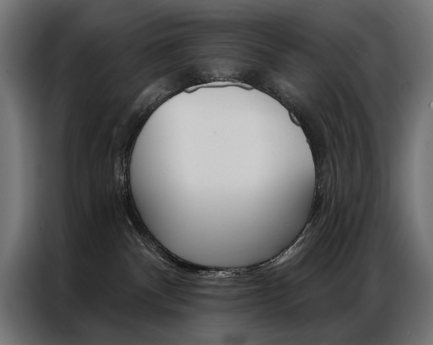 X0000086950140200704161105