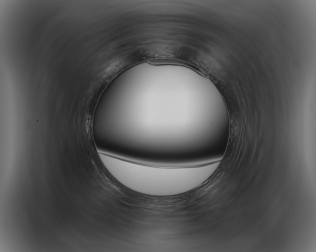 X0000086950141200704161105