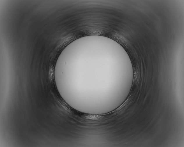 X0000086950142200704161105