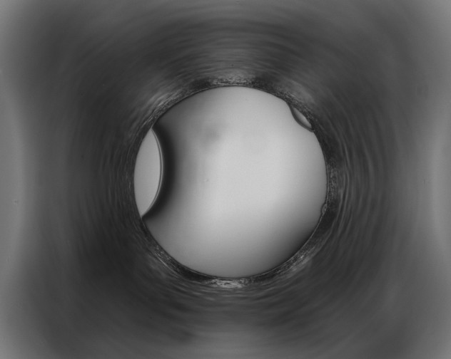 X0000086950143200704161105