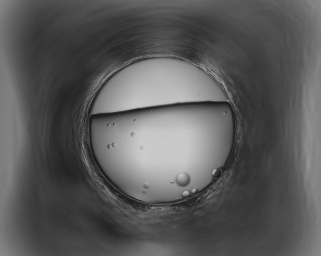 X0000086950145200704161104
