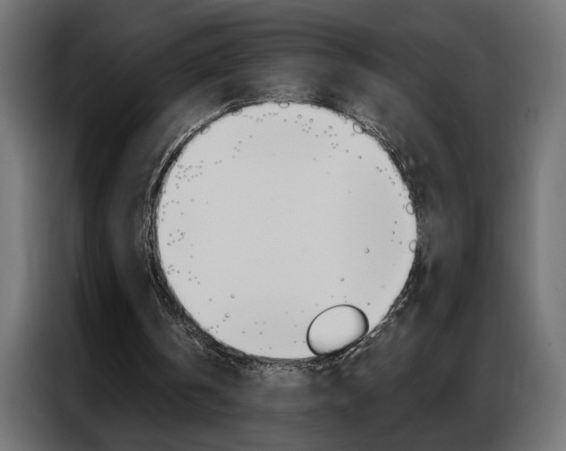 X0000086950146200704161104