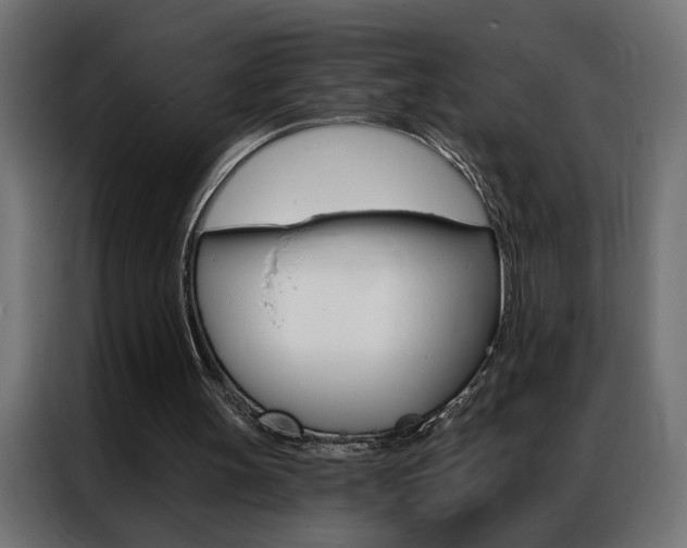 X0000086950147200704161104