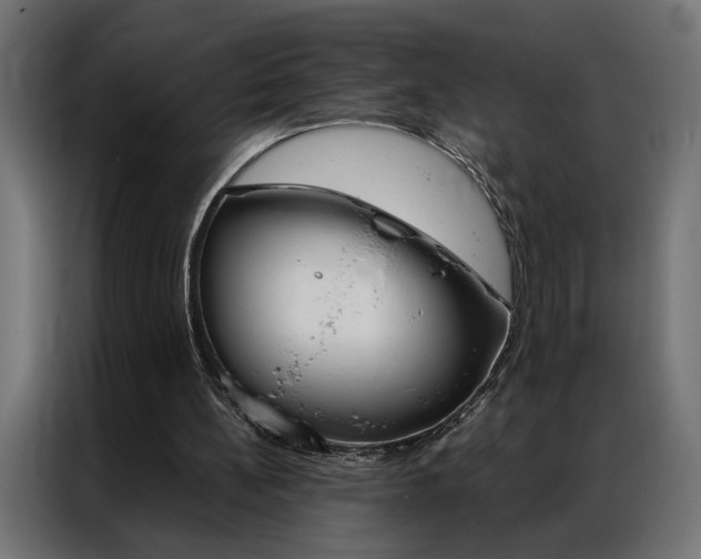 X0000086950148200704161105