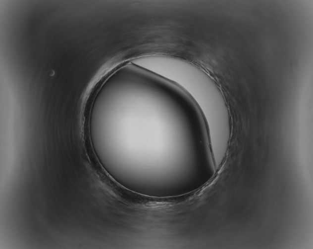 X0000086950150200704161105