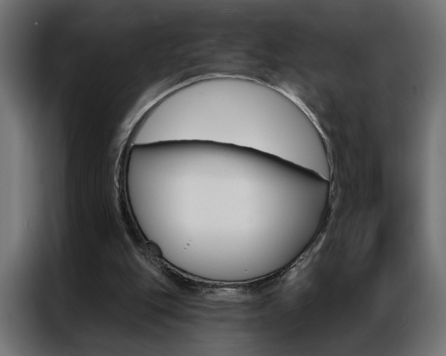 X0000086950151200704161105