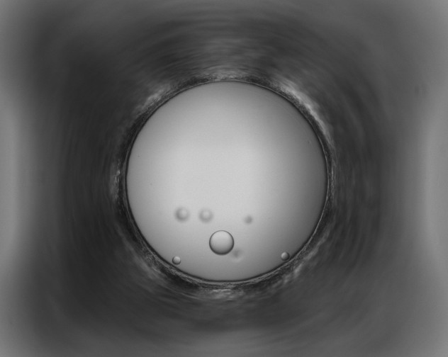 X0000086950153200704161105