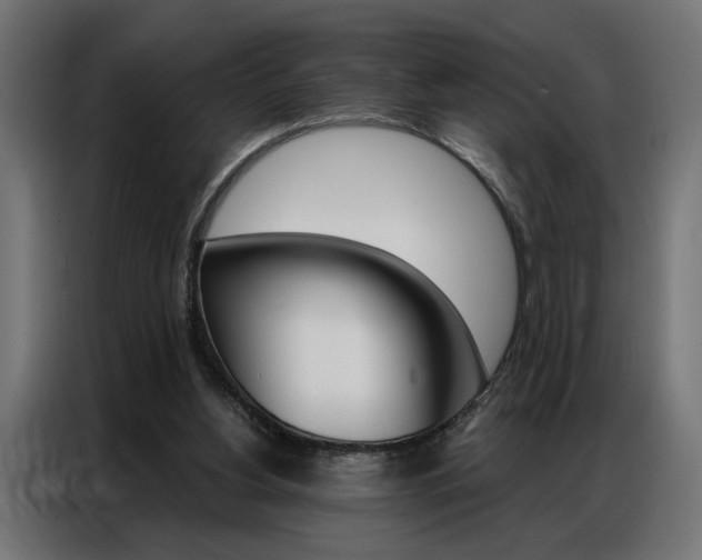 X0000086950156200704161105