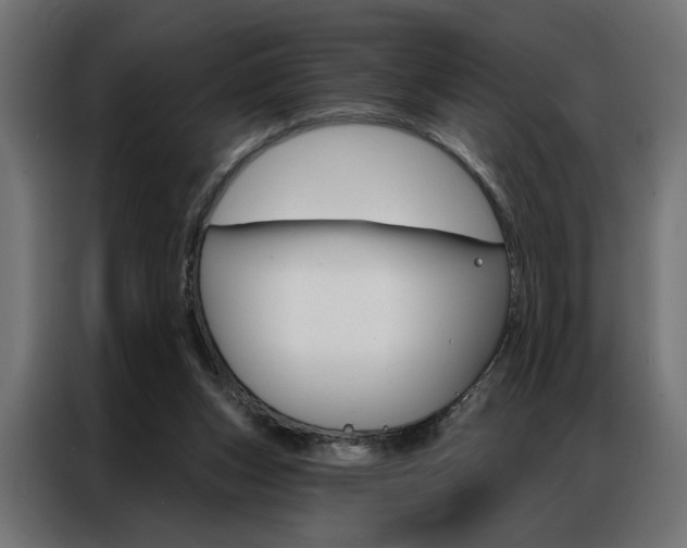 X0000086950159200704161105