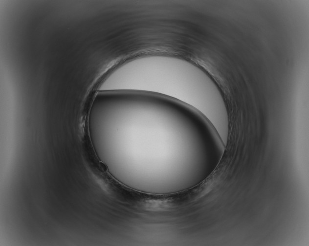 X0000086950160200704161105
