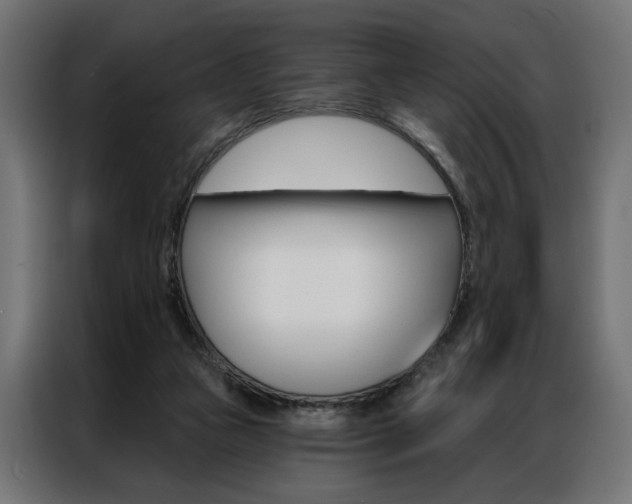 X0000086950161200704161105