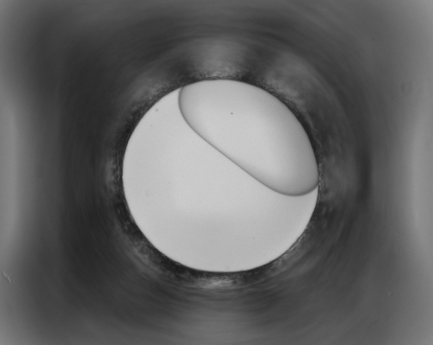X0000086950162200704161105