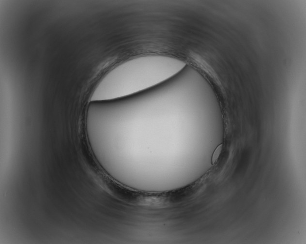 X0000086950163200704161105