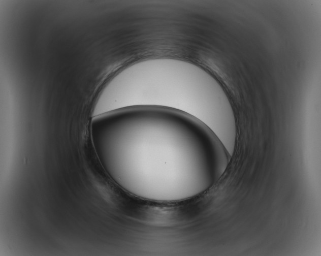 X0000086950164200704161105