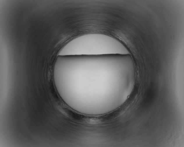 X0000086950165200704161105