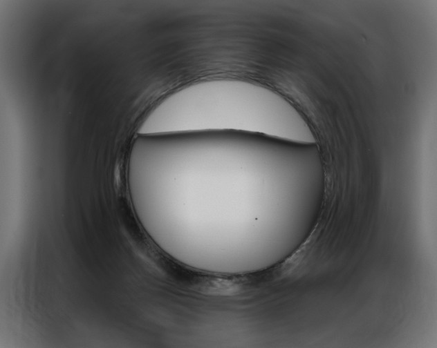 X0000086950166200704161105