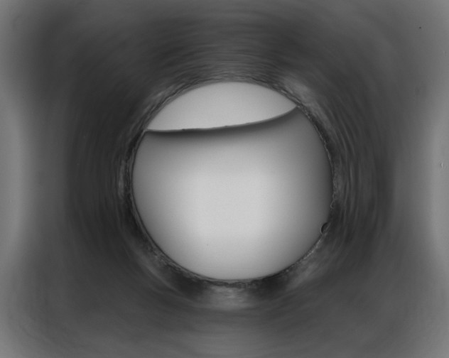 X0000086950167200704161105