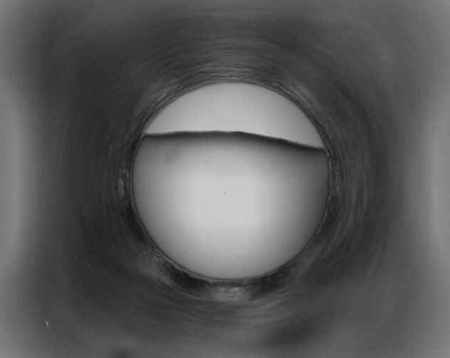 X0000086950169200704161105